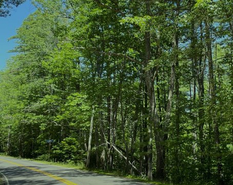 LAND - Jefferson, ME