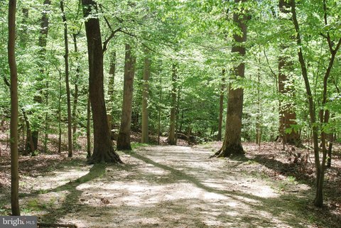Undeveloped Land Near Washington DC