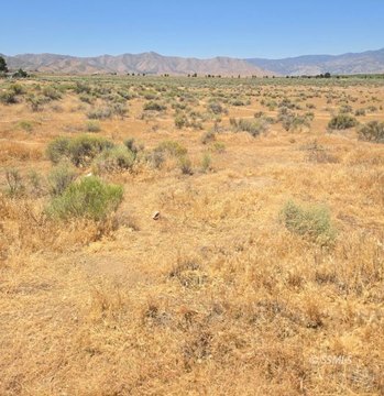Undeveloped Land in Weldon, CA