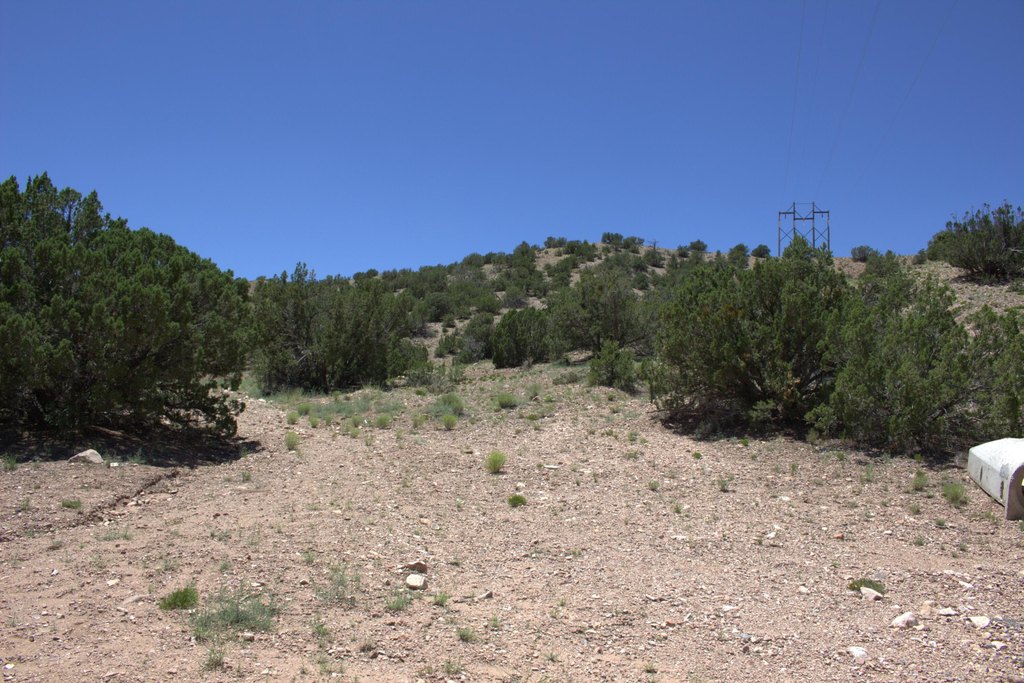 Picture 3