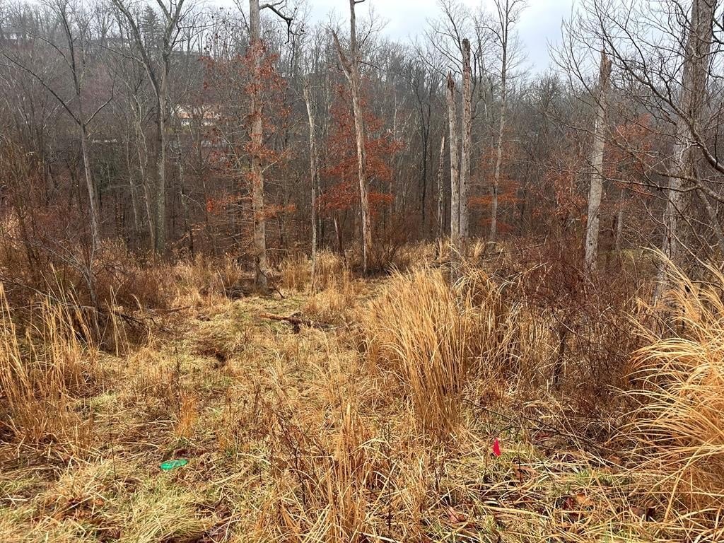 South Charleston Building Lot Opportunity