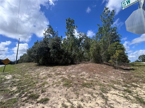 Land, DUNNELLON, FL