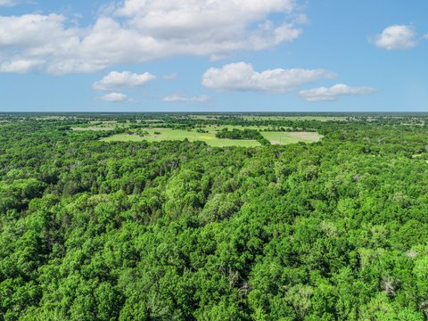 22.89 Acres Wooded Land