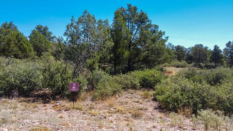 Half-Acre Lot with Mountain View