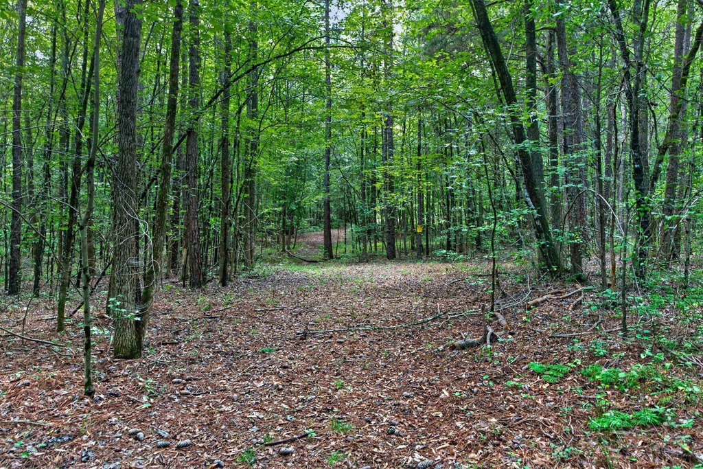 Picture 30