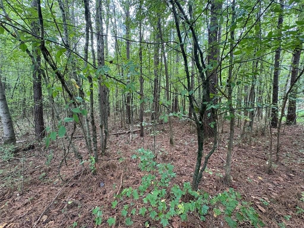 Picture 7