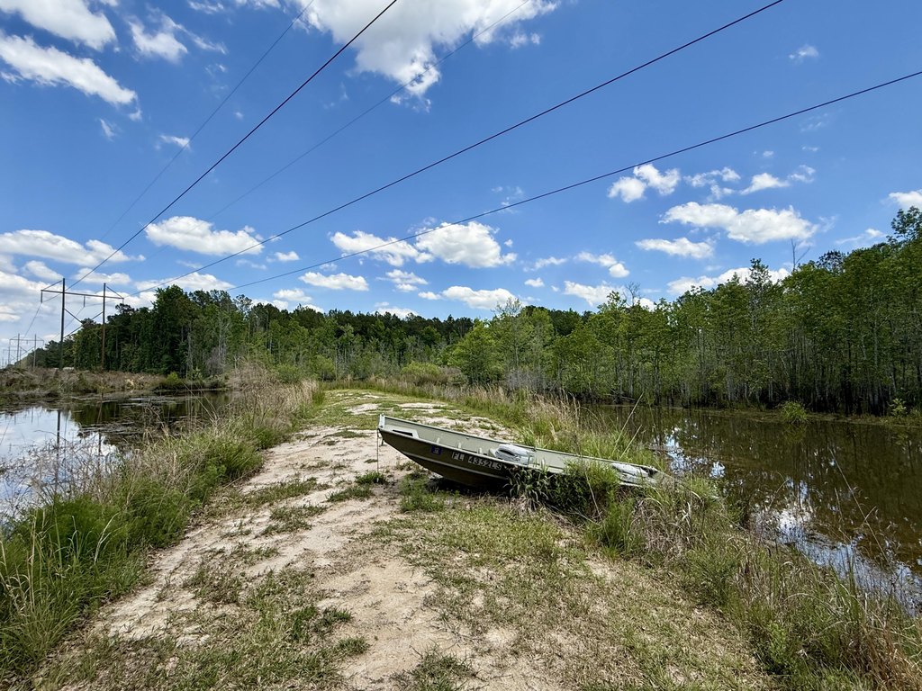 Picture 31