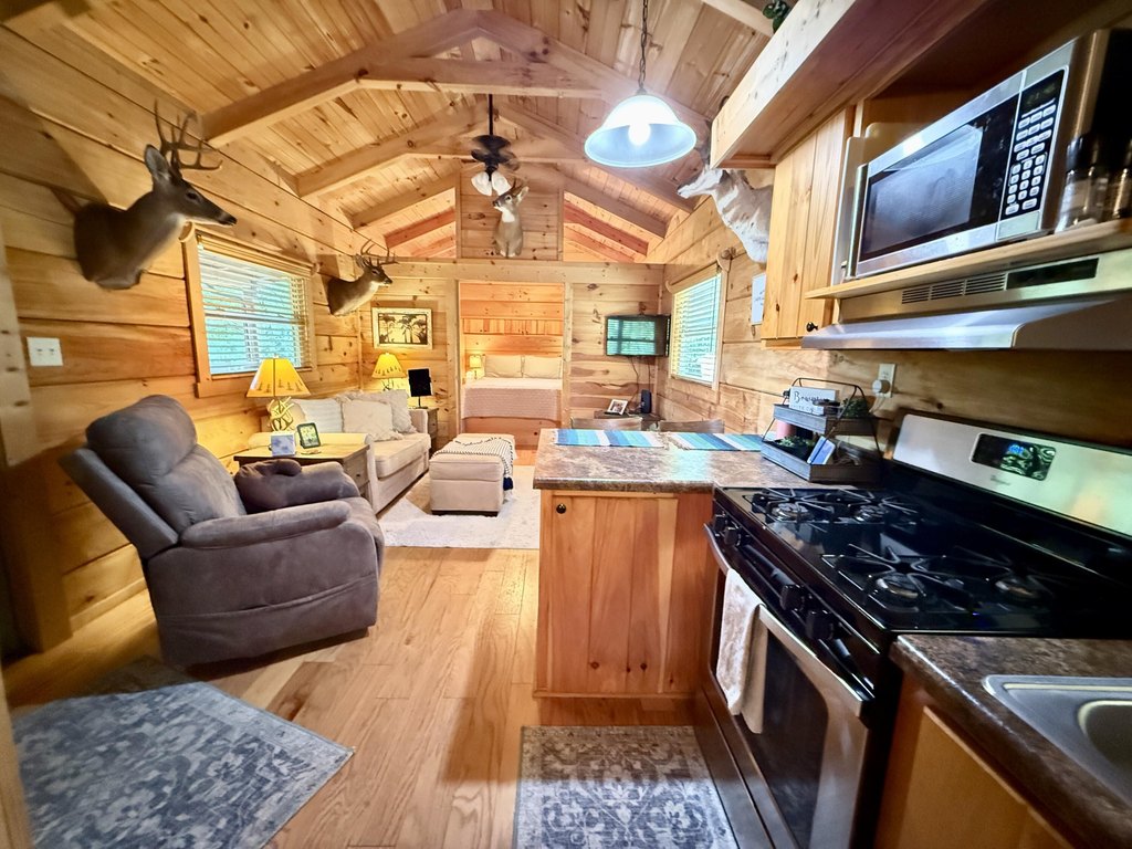 Picture 13