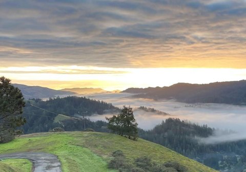 Lagunitas Land on Mt Barnabe