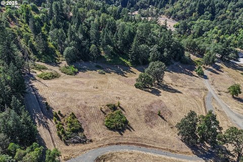 Roseburg Vacant Land with Views