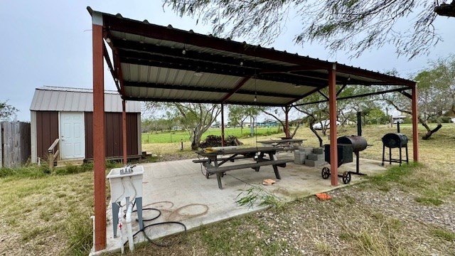 Picture 5