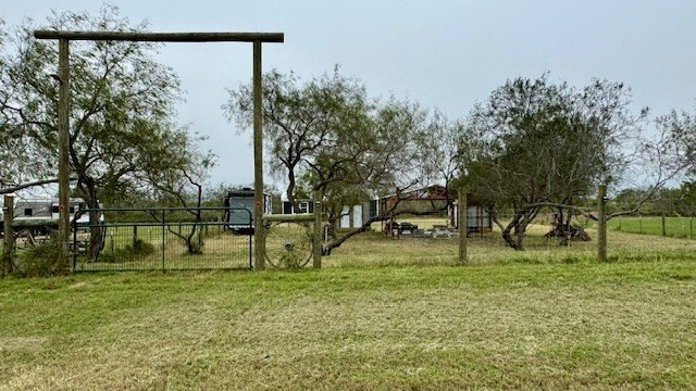 Picture 16
