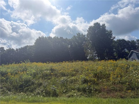 LAND - Oneonta, NY