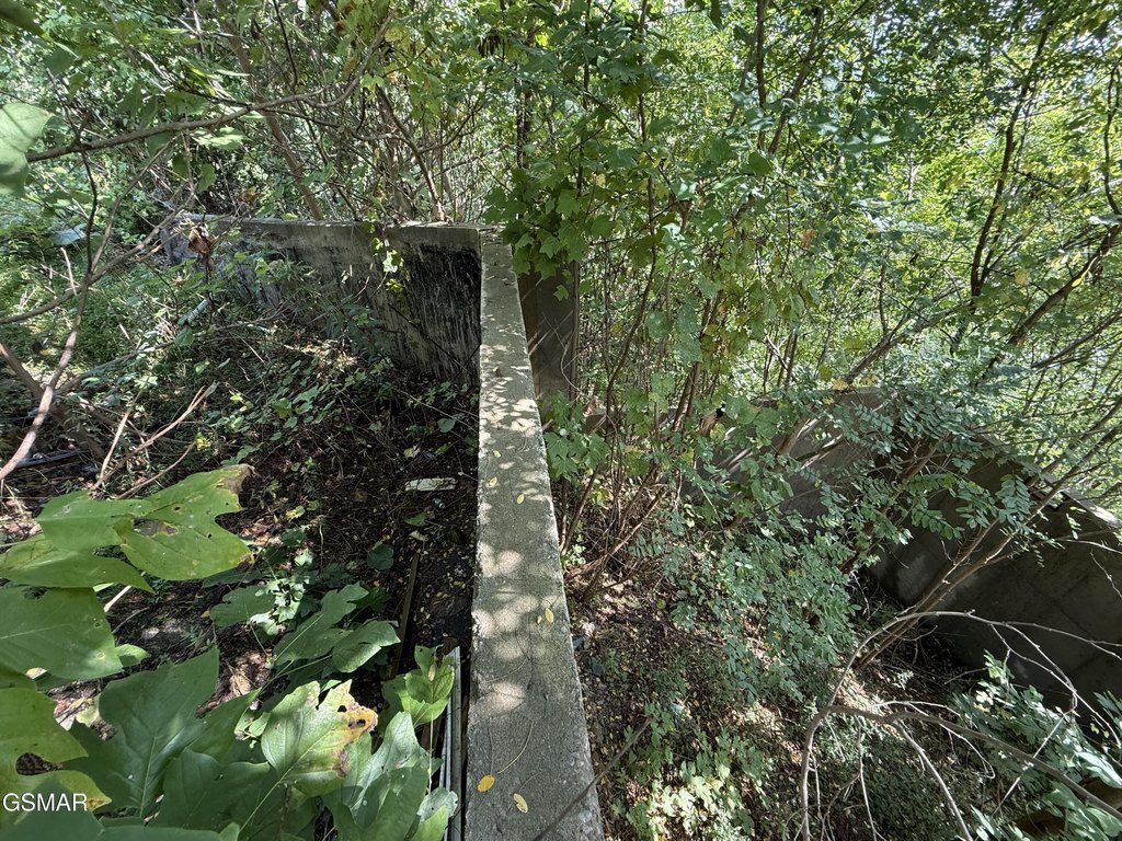 Picture 8