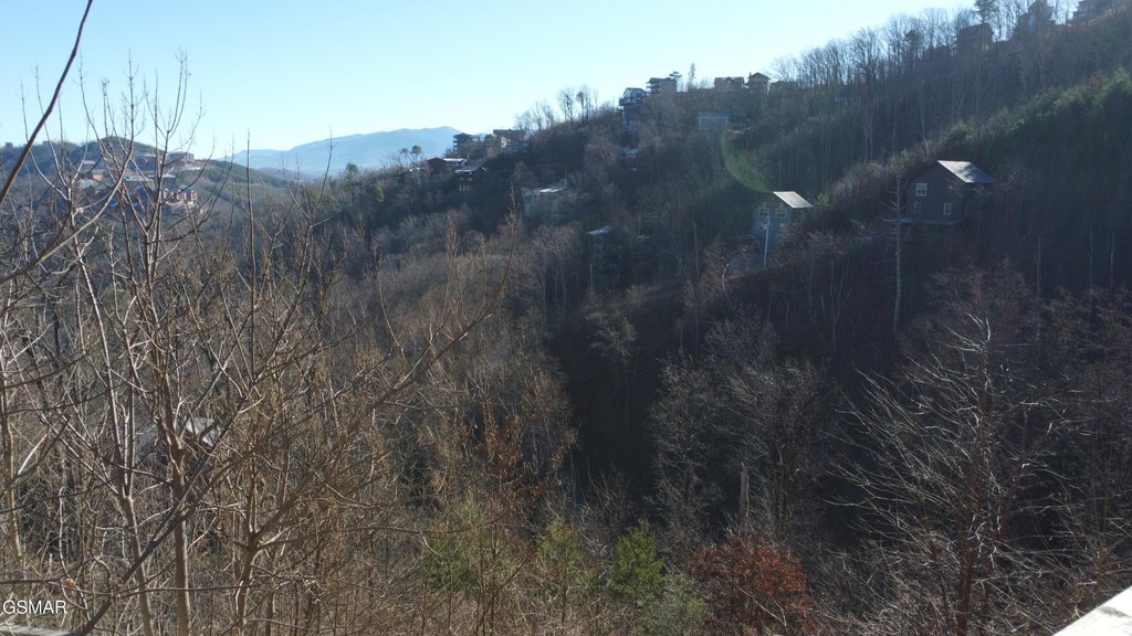 Picture 17