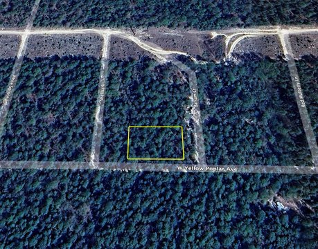 DeFuniak Springs Wooded Double Lot