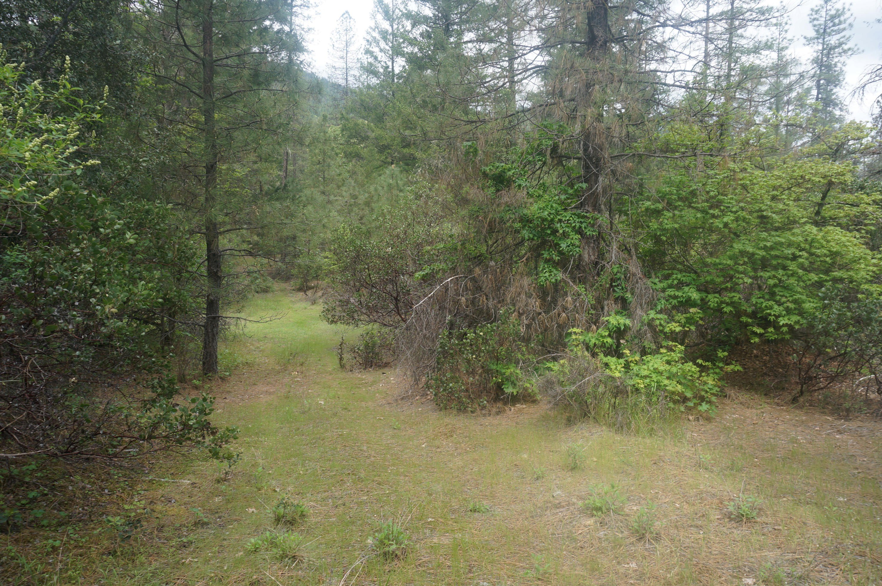 31 Acres Bordering BLM Land