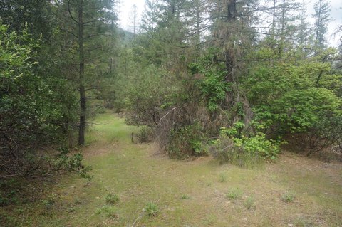 31 Acres Bordering BLM Land