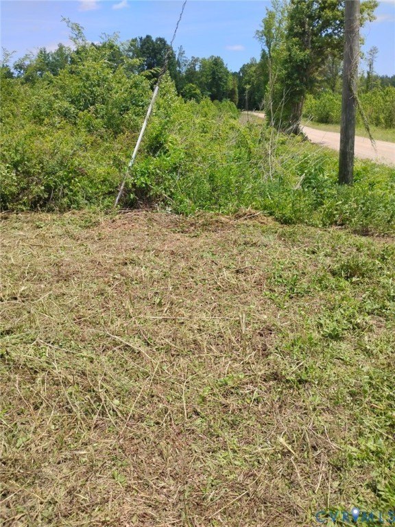 Picture 3