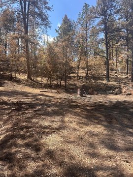 LAND - Beulah, CO
