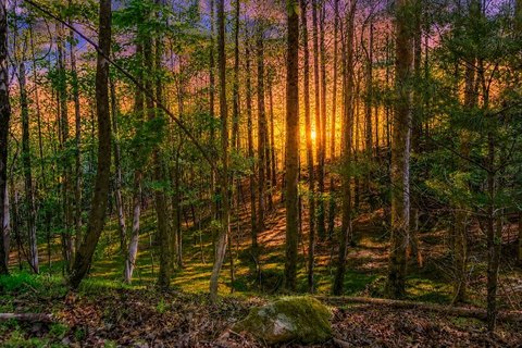 Ellijay Vacant Lot Opportunity