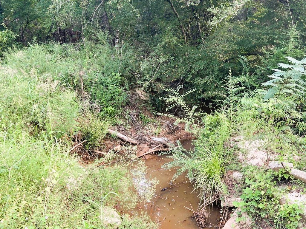Picture 34