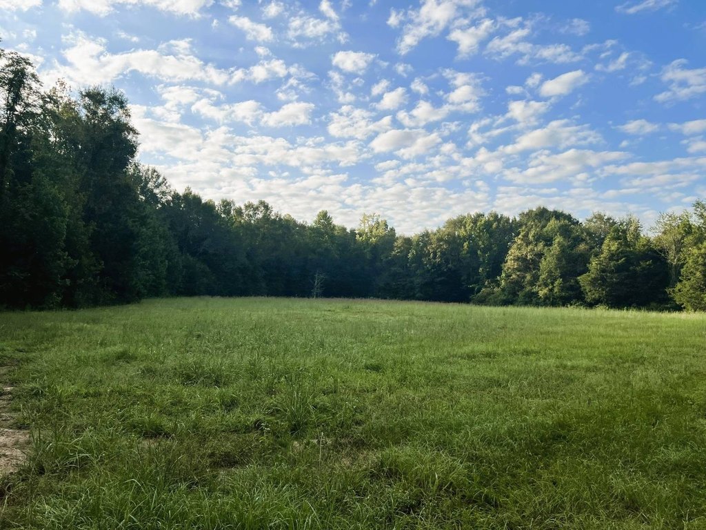 Picture 49