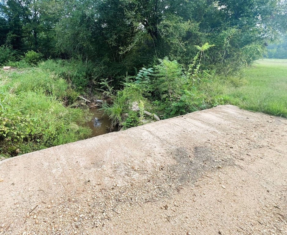 Picture 21