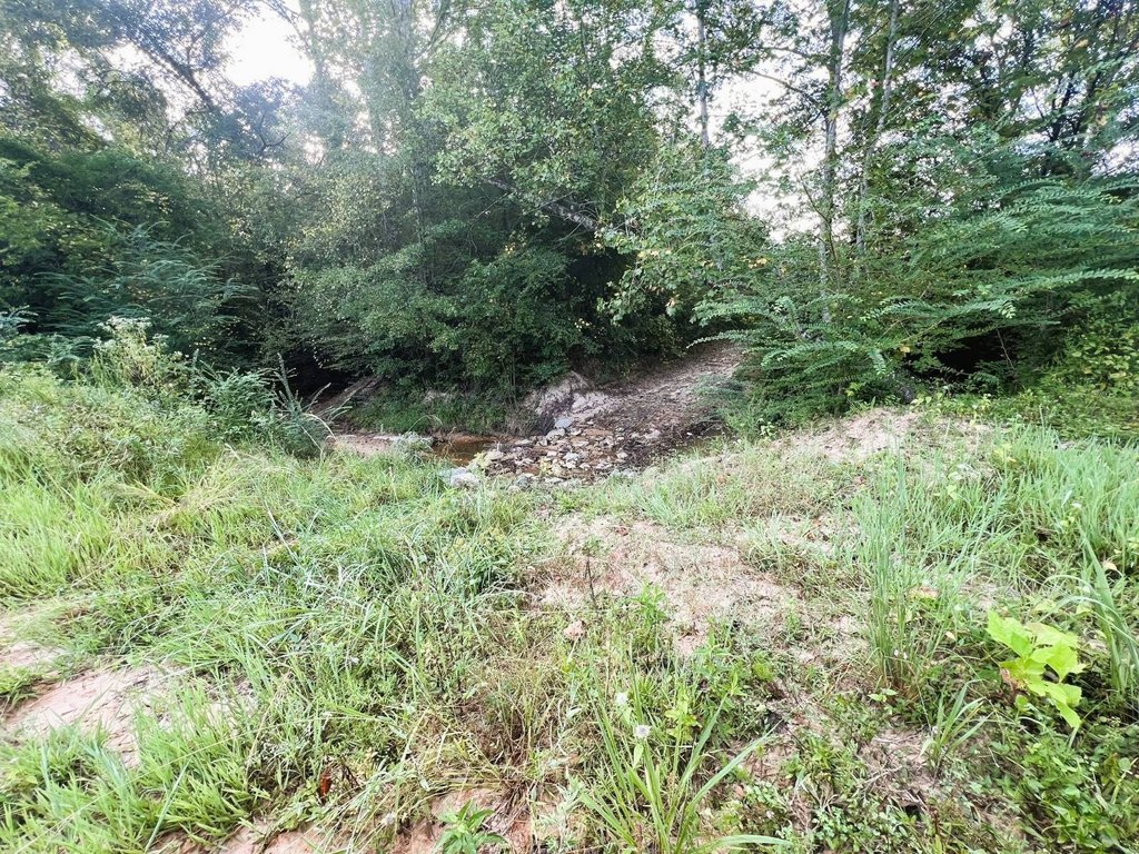 Picture 47