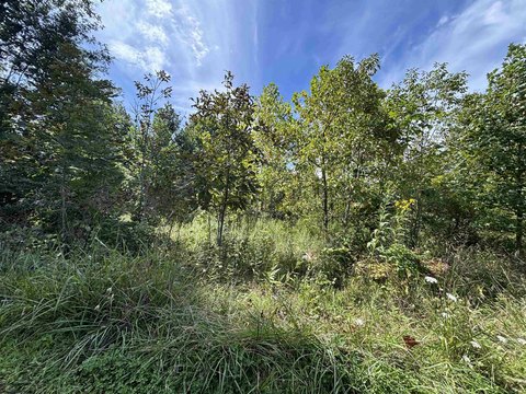 Lots/Land, Philippi, WV