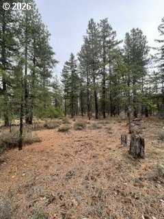 Wooded Acreage in Goldendale