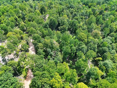 Lots and Land, Bonnieville, KY