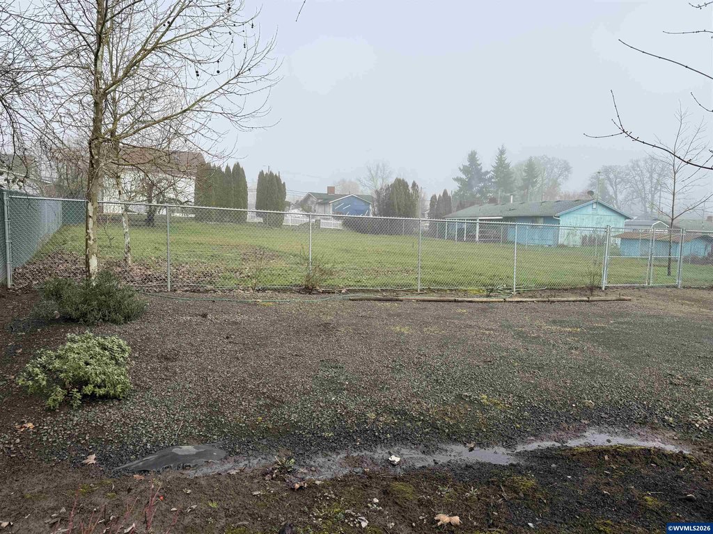 Picture 5