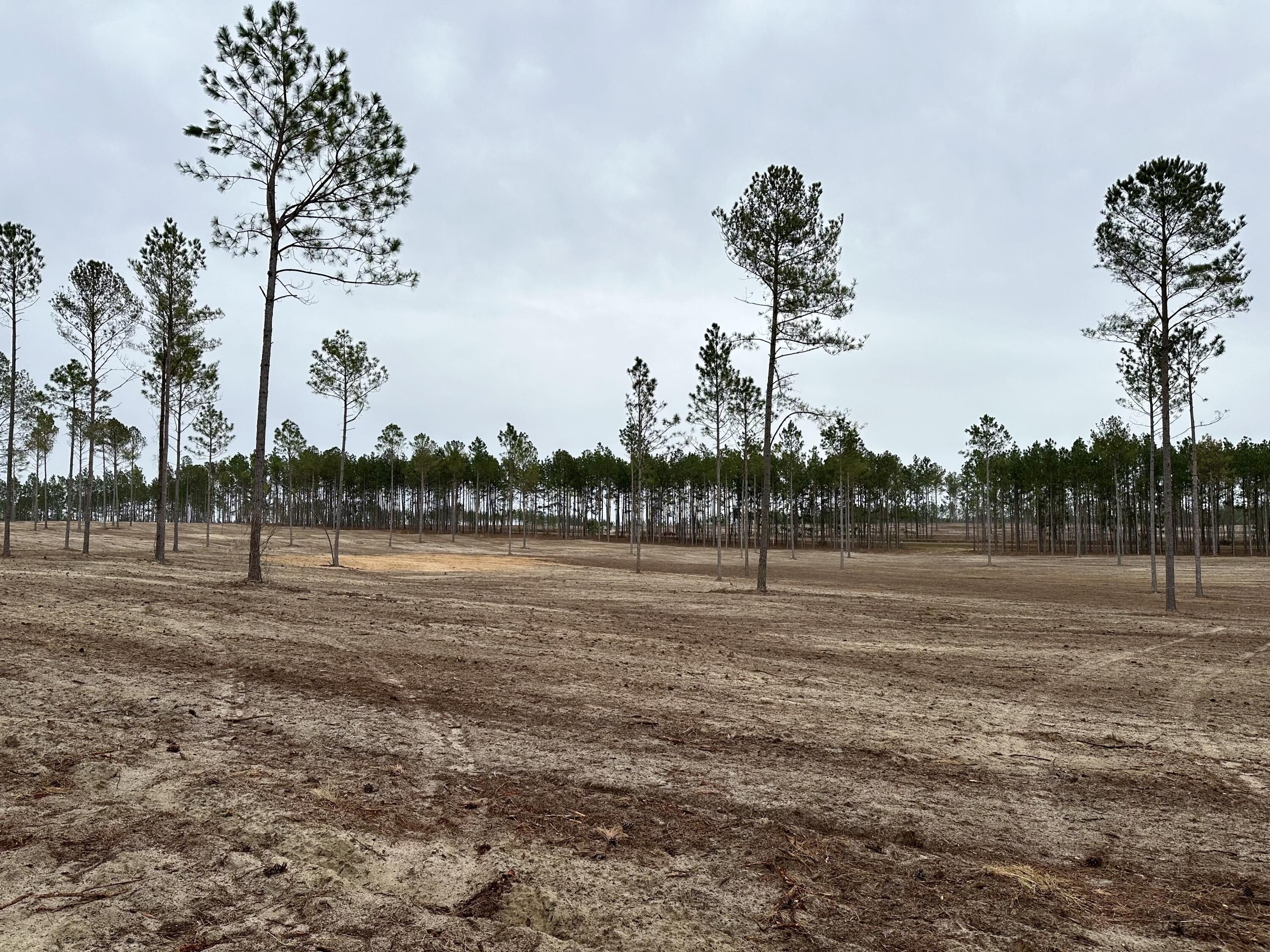 Aiken Land with Riding Trails