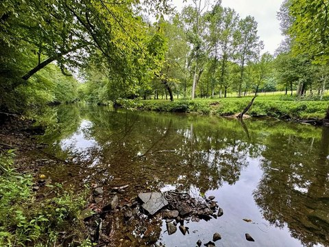Wooded Land Near Obed River