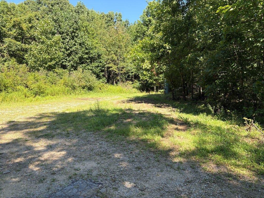Picture 24