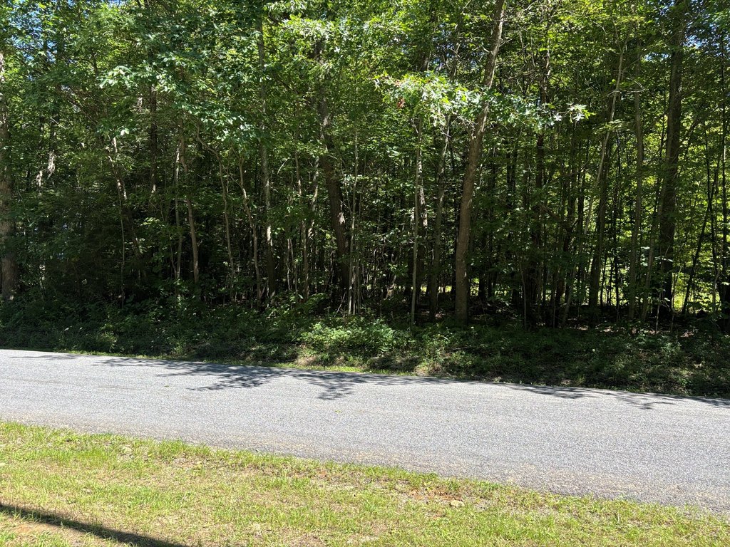 Picture 27