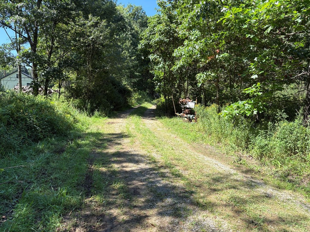 Picture 19
