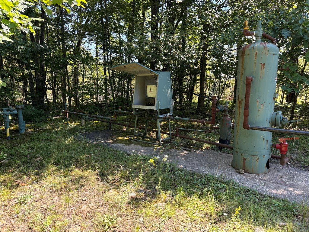 Picture 25