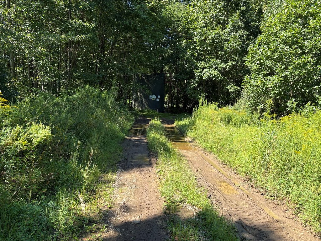 Picture 22