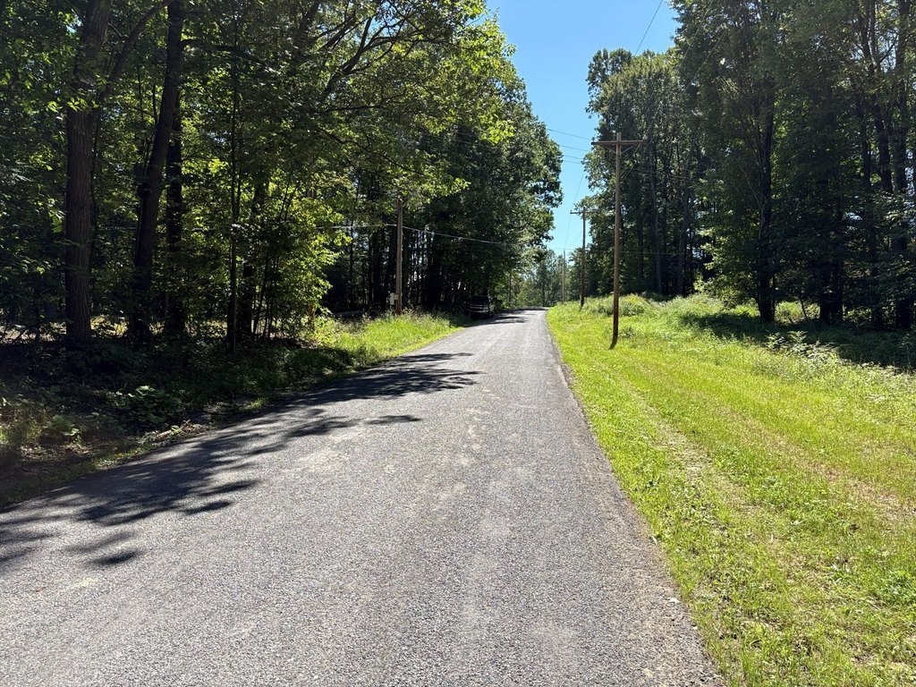 Picture 28