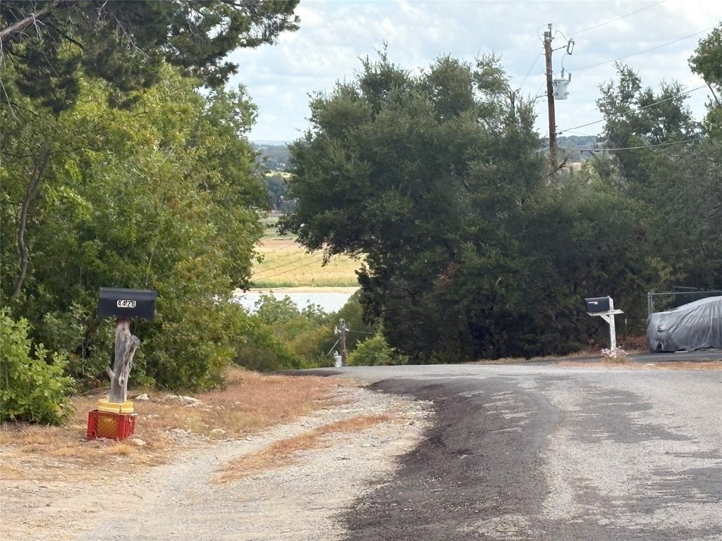 Picture 5