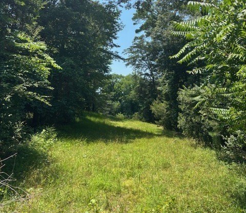 Picture 25
