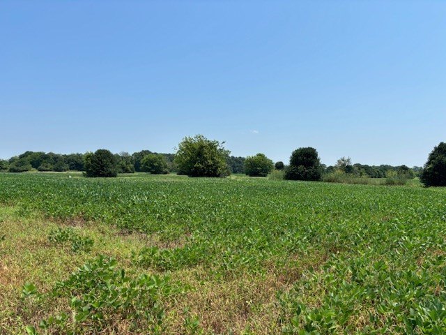 Picture 12