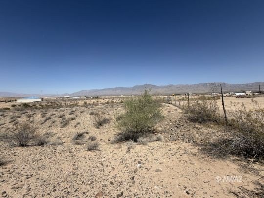 Picture 23