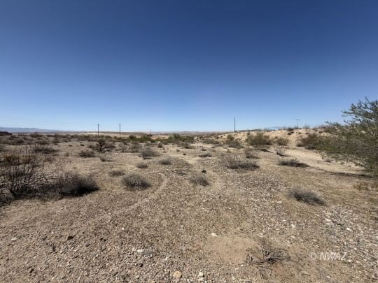 Picture 21