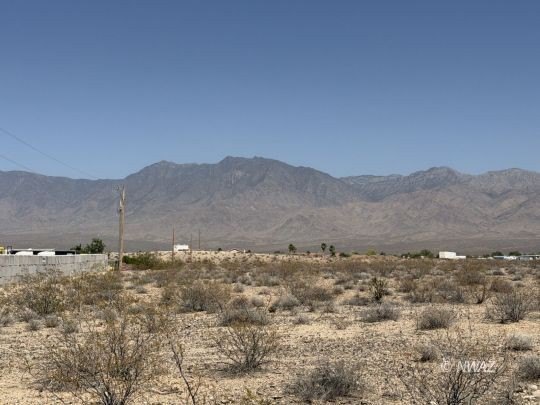 Picture 9