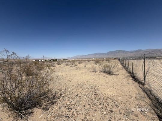 Picture 20