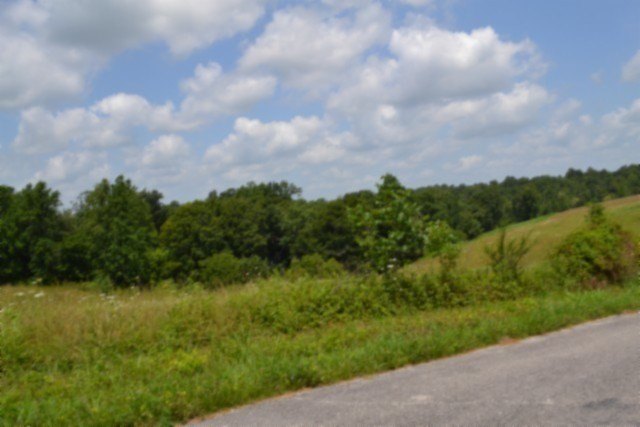 Picture 25