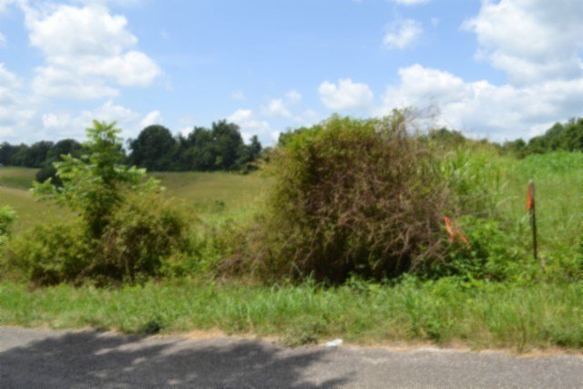 Picture 26
